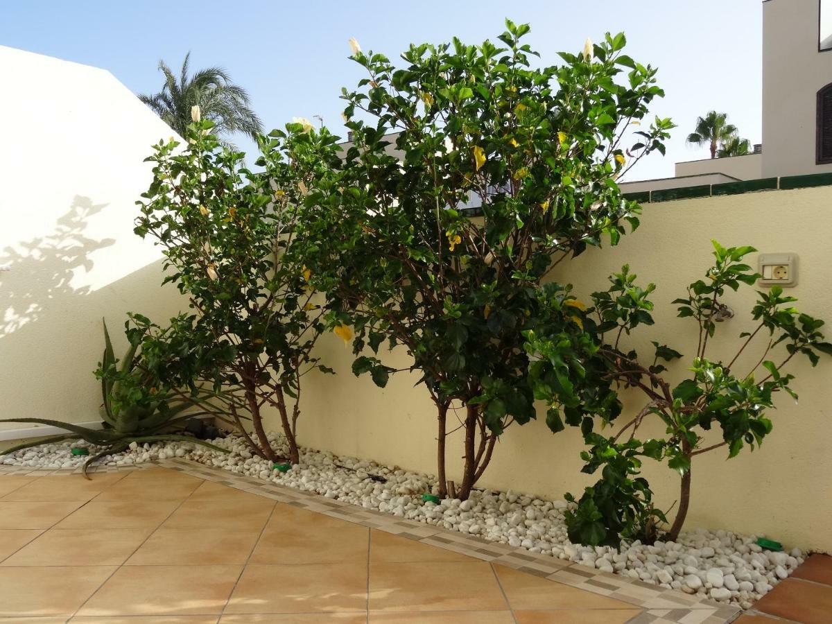 Residencial Los Geranios 13 Costa Del Silencio Exterior photo